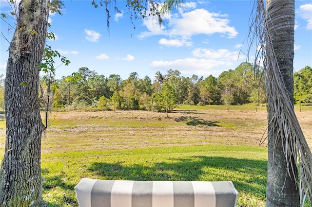 view of yard featuring a rural view