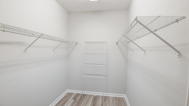 walk in closet with wood-type flooring