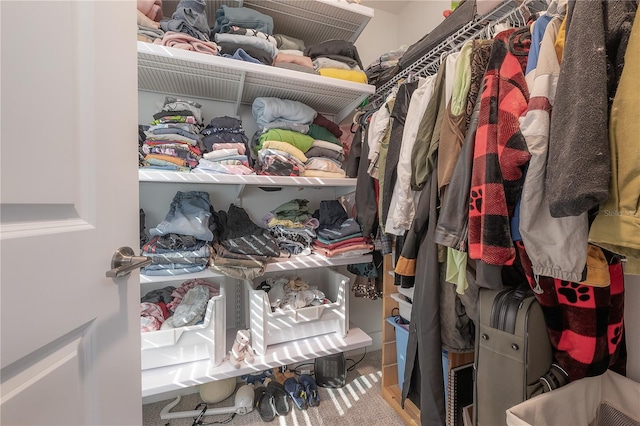 walk in closet featuring carpet flooring