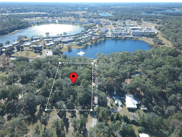 Listing photo 3 for Lake Hospitality Ln, Altoona FL 32702