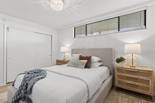 bedroom featuring wood-type flooring and a closet