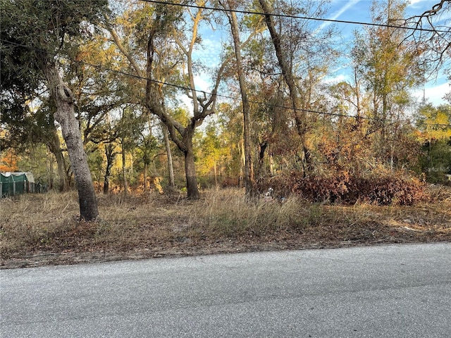 3474 Riverdale Dr, Dade City FL, 33523 land for sale