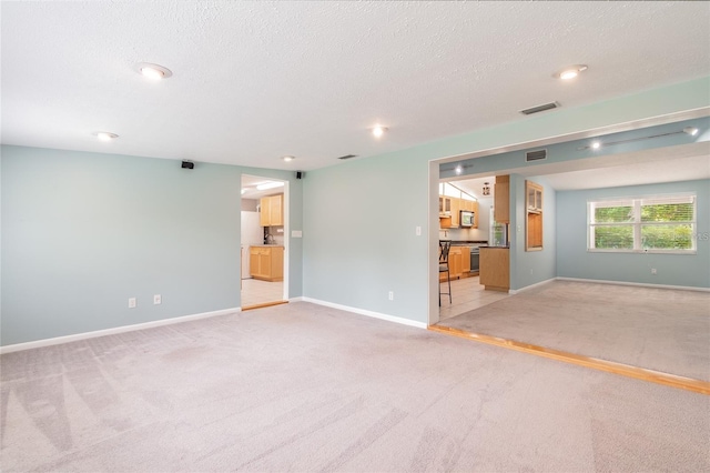 empty room featuring light carpet and a textured ceiling