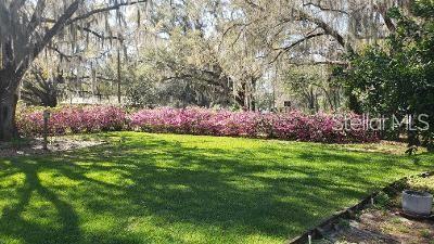 20735 Gardenia Dr, Land O Lakes, FL 34638 - photo 27