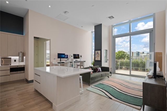 living room with light wood-type flooring and a wall of windows