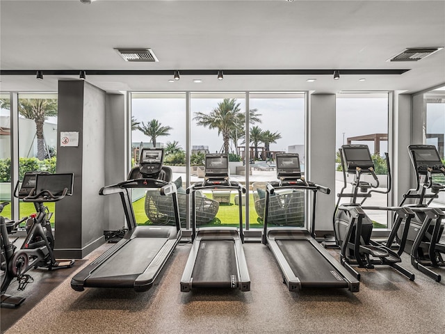 exercise room featuring plenty of natural light and a wall of windows