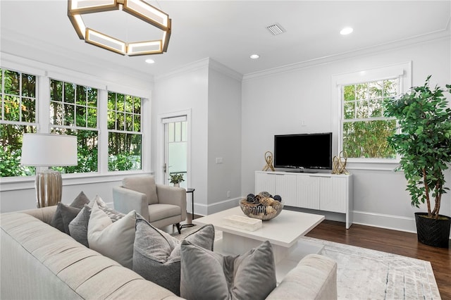 living room featuring crown molding and dark hardwood / wood-style flooring