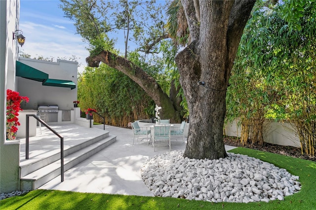 view of yard featuring an outdoor kitchen and a patio area