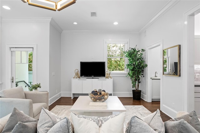 living room featuring dark hardwood / wood-style floors, crown molding, and sink