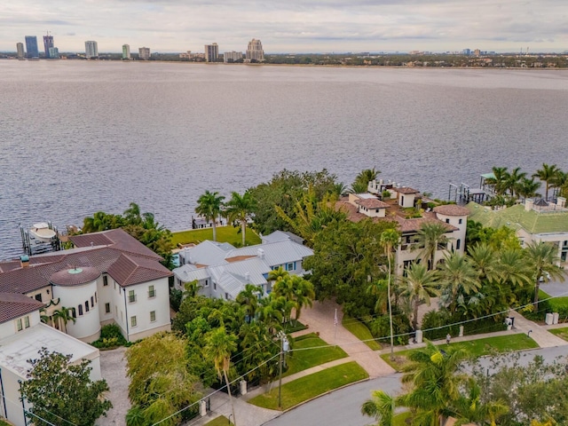 aerial view with a water view