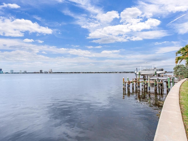 dock area with a water view