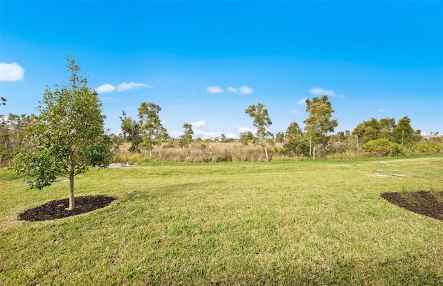 view of yard with a rural view