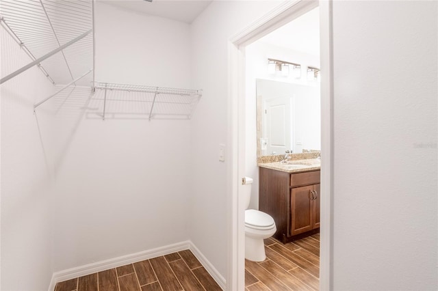 spacious closet with wood-type flooring and sink