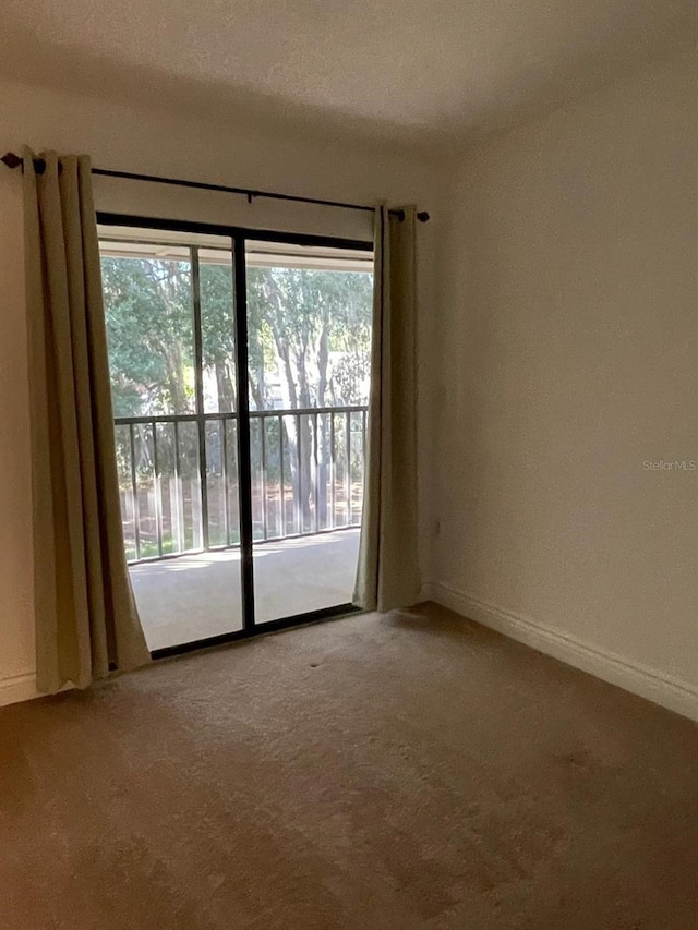 carpeted empty room with plenty of natural light and a textured ceiling