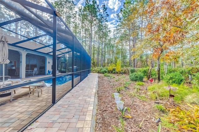 view of swimming pool with a lanai and a patio