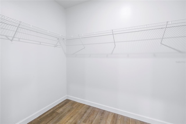 walk in closet with hardwood / wood-style floors