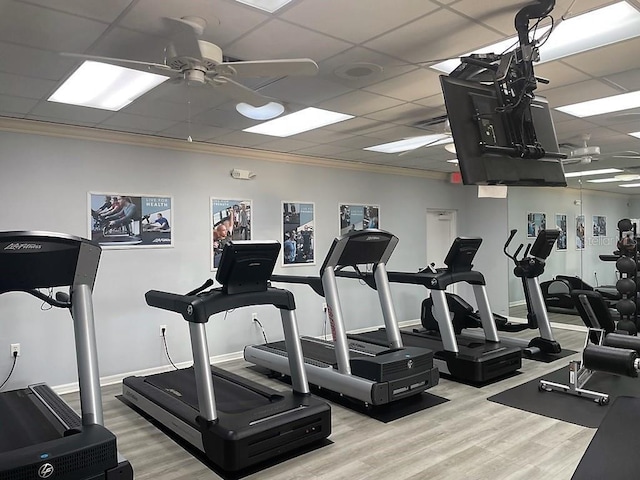 exercise room with a paneled ceiling, ceiling fan, and wood-type flooring