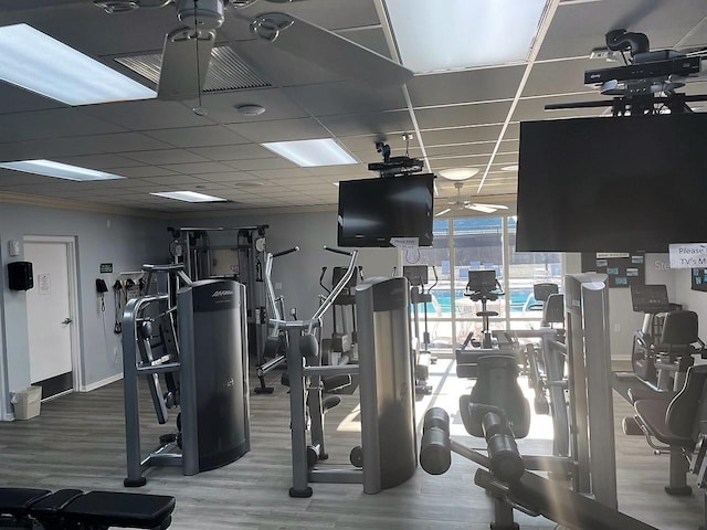 workout area with hardwood / wood-style flooring and a drop ceiling