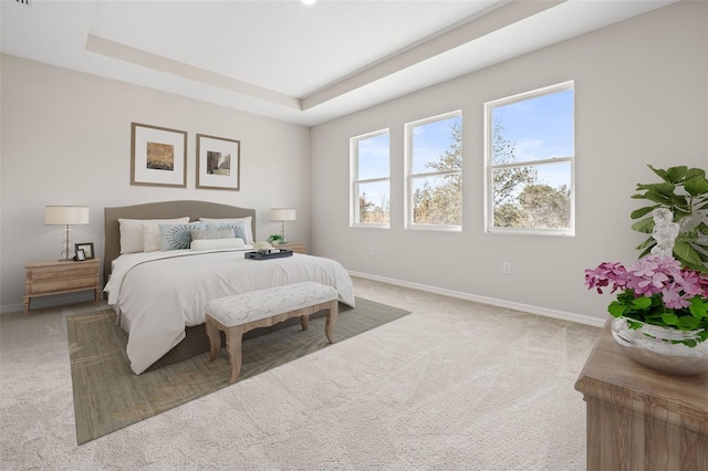 bedroom featuring carpet floors and a tray ceiling