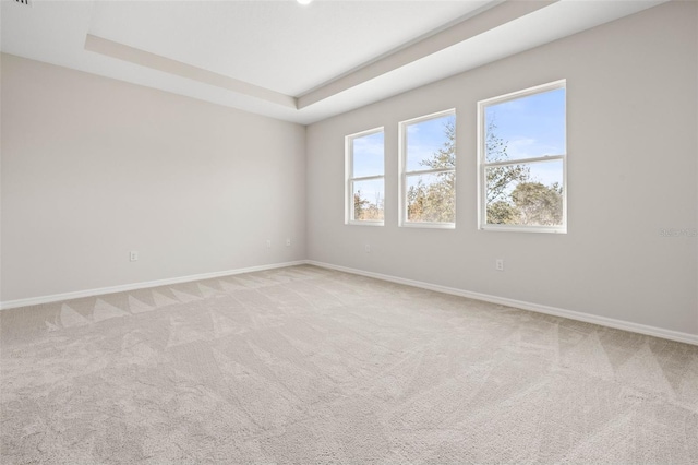 carpeted empty room with a raised ceiling