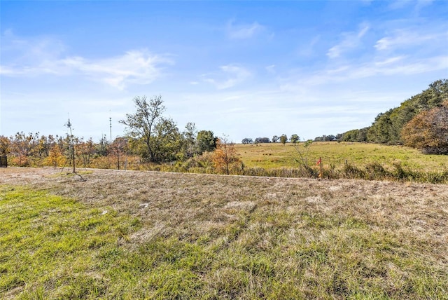 view of local wilderness with a rural view