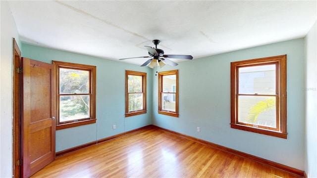 1149 Sedeeva St, Clearwater, FL 33755 - unfurnished room with baseboards, light wood-style flooring, and a ceiling fan