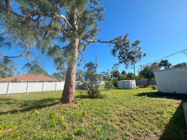 view of yard featuring a shed