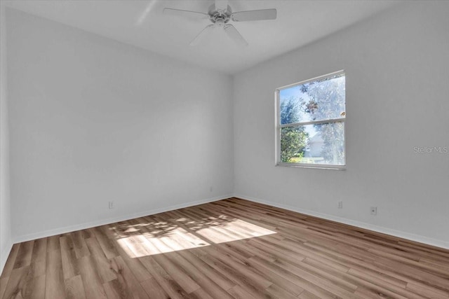 unfurnished room with light wood-type flooring and ceiling fan