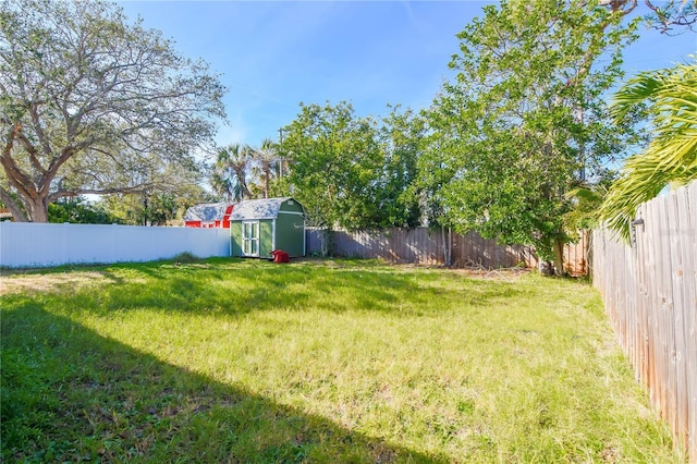 view of yard featuring a storage unit