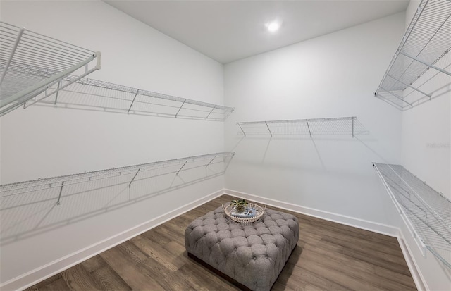 spacious closet featuring dark wood-type flooring