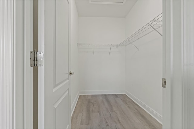 13584 Old Creek Ct, Parrish, FL 34219 - spacious closet with light wood-type flooring