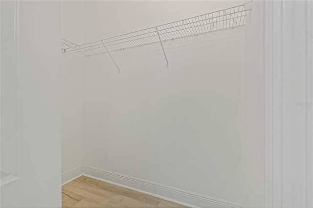 13584 Old Creek Ct, Parrish, FL 34219 - walk in closet with light wood-style flooring