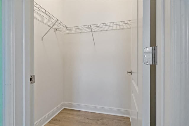 13584 Old Creek Ct, Parrish, FL 34219 - walk in closet featuring light wood-type flooring