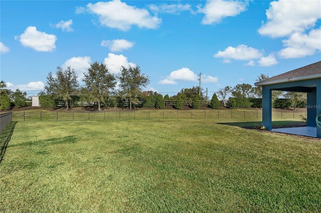 13584 Old Creek Ct, Parrish, FL 34219 - view of yard with a patio