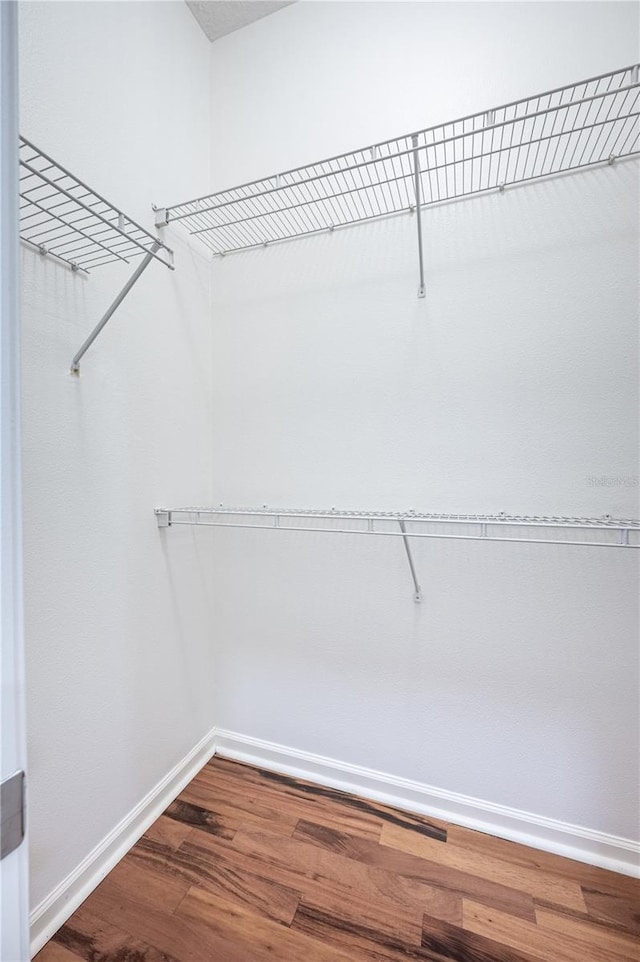 walk in closet featuring hardwood / wood-style floors