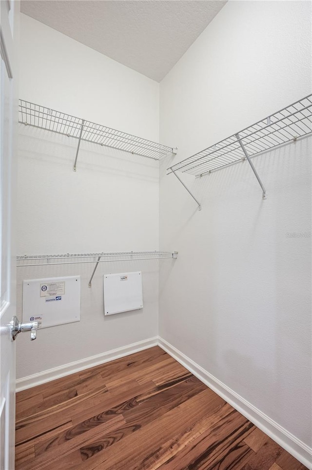 3602 Juneberry Dr, Wesley Chapel, FL 33543 - spacious closet with wood finished floors