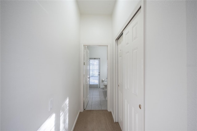 corridor featuring carpet floors