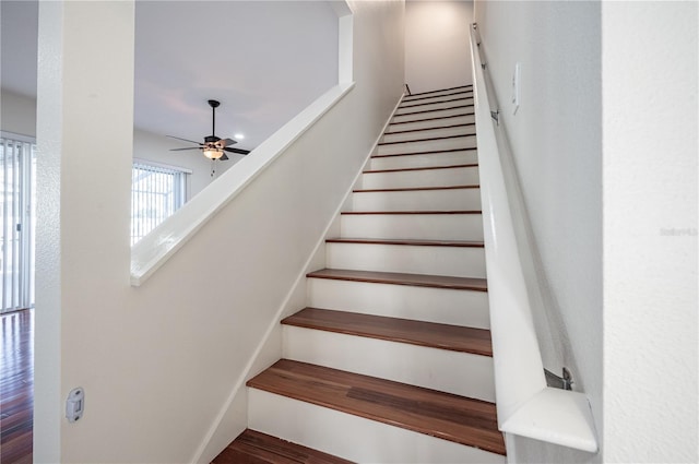 stairs with ceiling fan and hardwood / wood-style floors