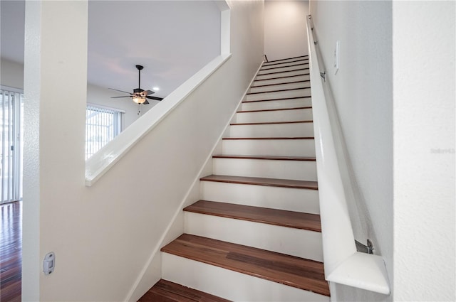 3602 Juneberry Dr, Wesley Chapel, FL 33543 - stairs featuring a ceiling fan and wood finished floors