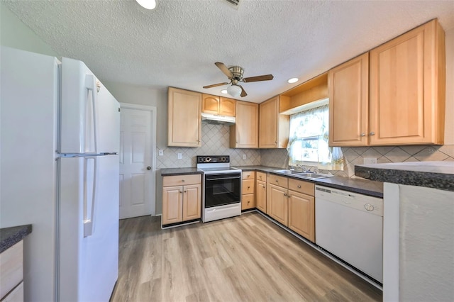 kitchen with white appliances, ceiling fan, sink, light brown cabinets, and light hardwood / wood-style floors