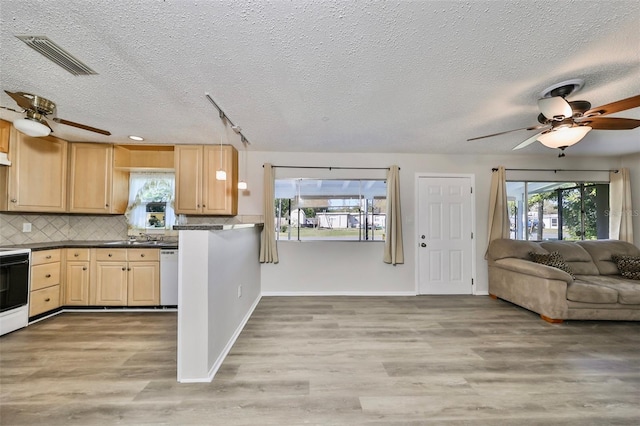 kitchen with light brown cabinets, a healthy amount of sunlight, a textured ceiling, and light wood-type flooring