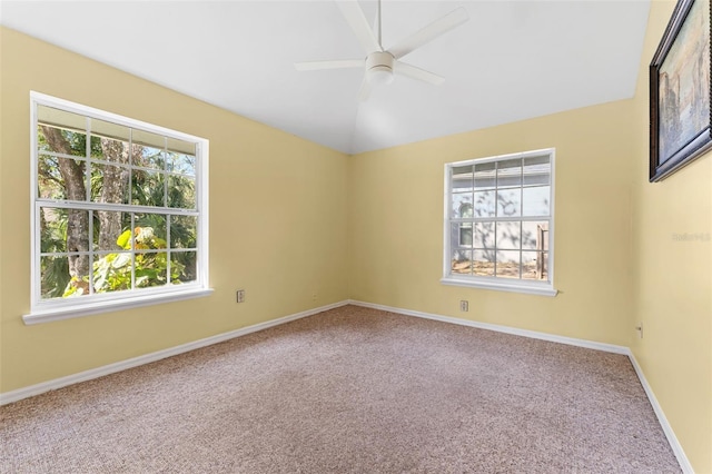 unfurnished room featuring carpet flooring and a healthy amount of sunlight