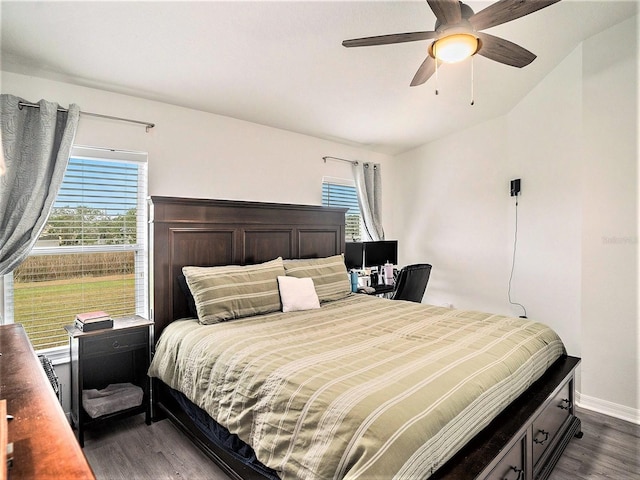 bedroom with multiple windows, ceiling fan, and dark wood-type flooring