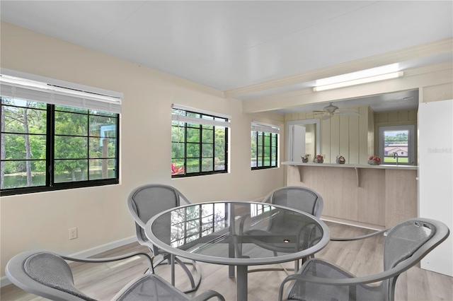 dining room with ceiling fan and light wood-type flooring