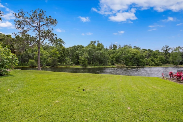 view of yard with a water view