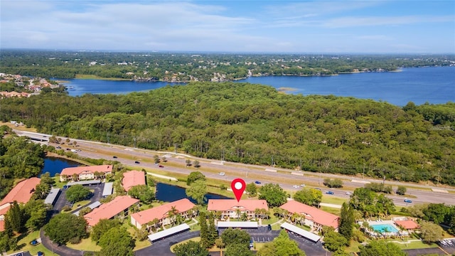 bird's eye view with a water view