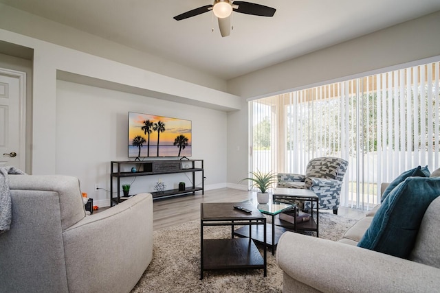 living room featuring ceiling fan and light hardwood / wood-style flooring