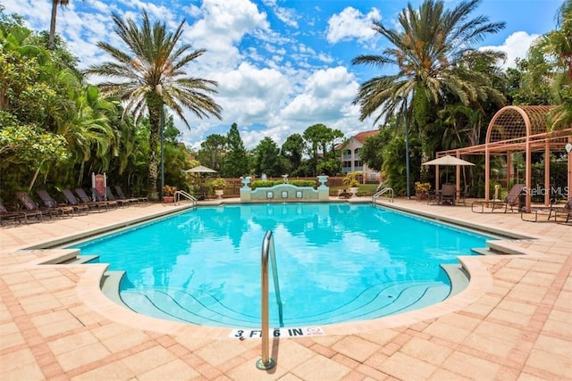 view of pool with a patio