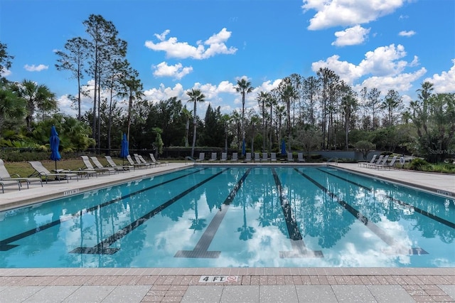 view of swimming pool featuring a patio