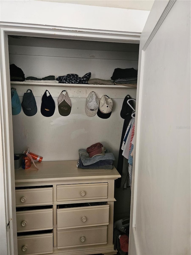 view of closet